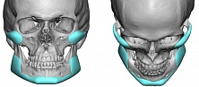 Anatomy of Men's Sexuality. What Faces Do Hollywood and Girls Like?